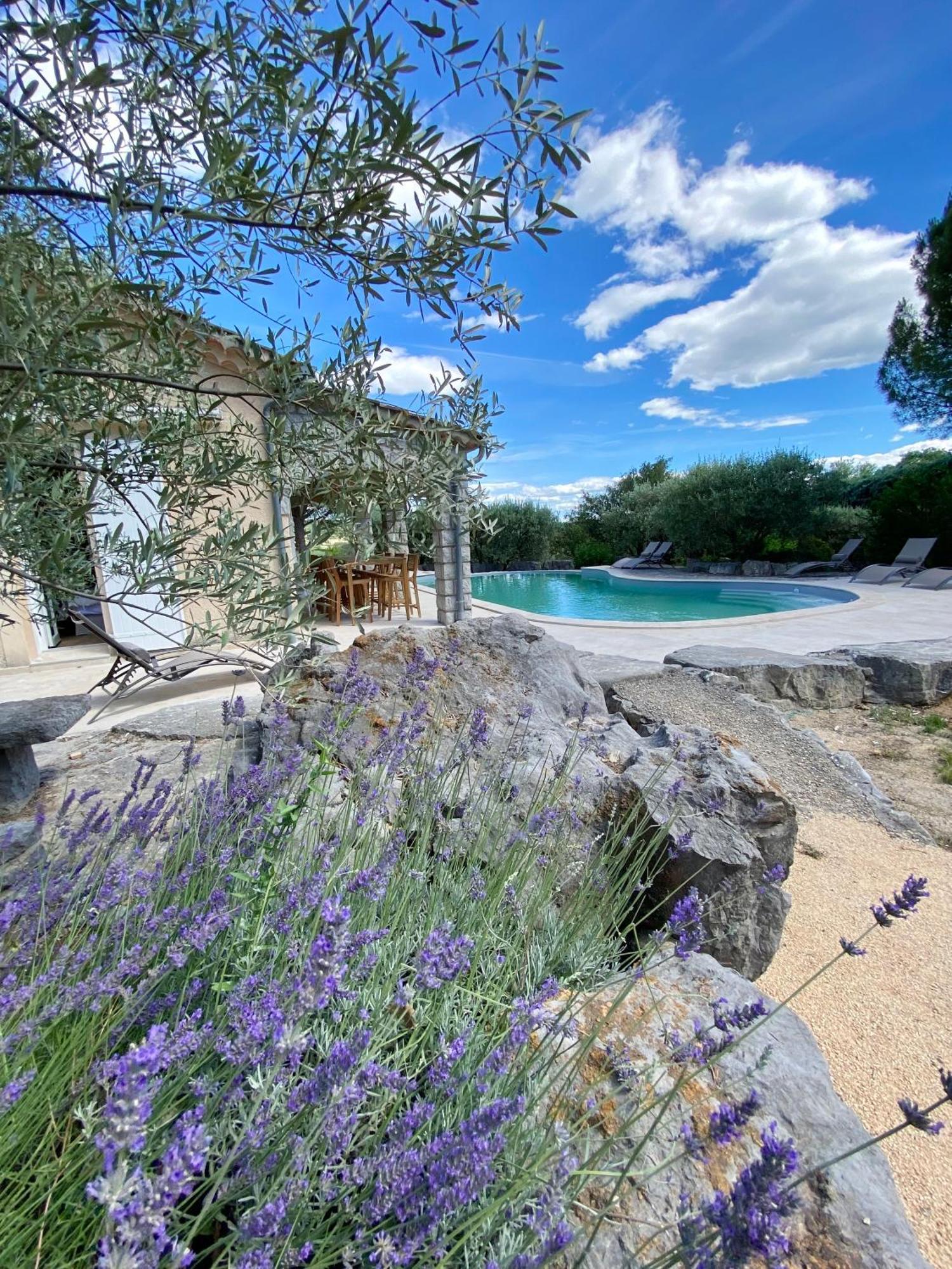 Maison Pour 12P, Piscine A Debordement Chauffee D'Avril A Octobre Inclus Ruoms Extérieur photo